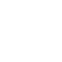Wiki Zelda.png