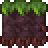 Vernal Soil (placed).png