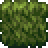File:Planty Mush (placed).png