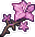 Шипастый цветок