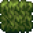 Planty Mush (placed).png